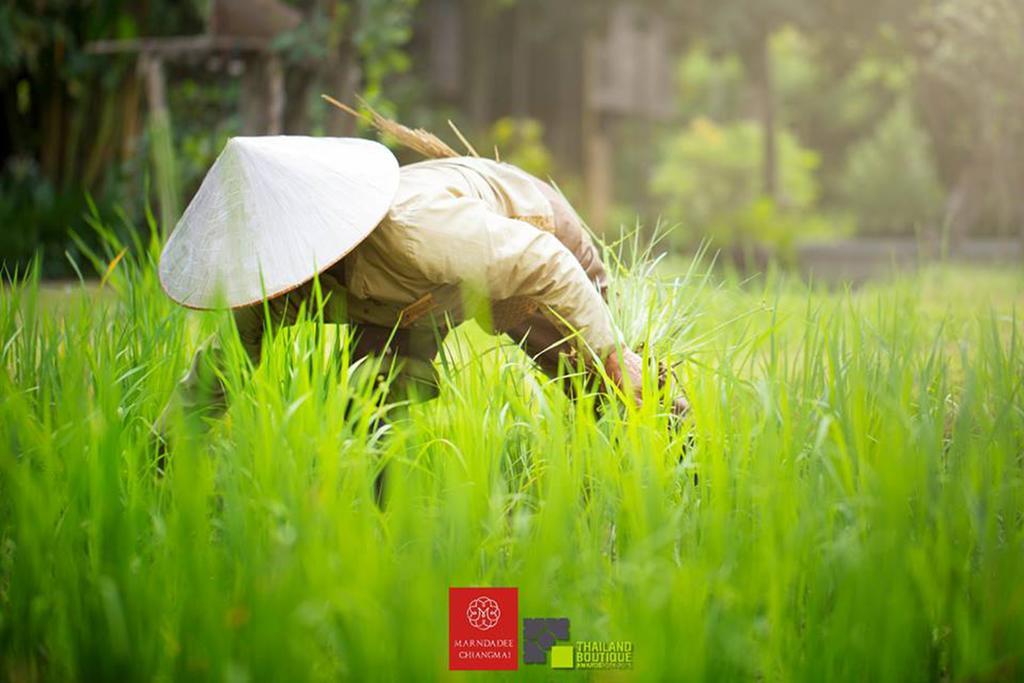 The Marndadee Heritage Chiang Mai Buitenkant foto